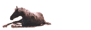 horseroll.gif